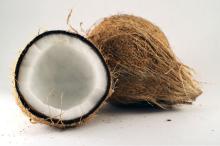  husk ed coconut