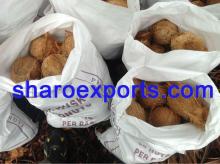 Semi Husked Coconut - 25 nuts in bag