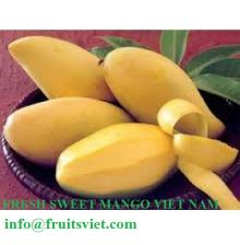 Fresh Mango