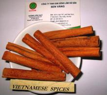 CINNAMON TEA