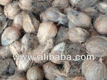 coconut