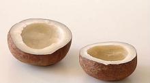 Dry Coconut