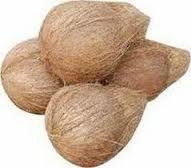 Matured Coconuts