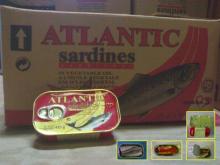  ATLANTIC   SARDINE 