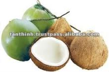 Matured and Young Coconut