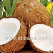 Coconut supplier