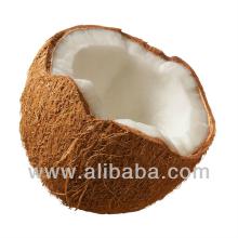 Fresh coconut for sale