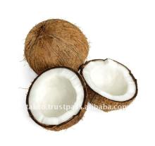 Desiccated Coconut VietNam