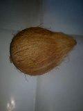 fresh and measerd semi husk coconut