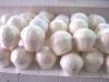 FRESH YOUNG MACTURED COCONUTS TRY IT!!!!!!