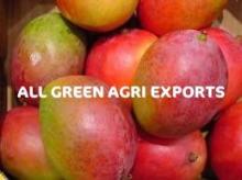 Mango exporter