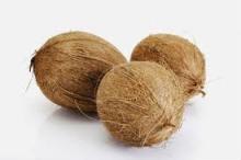 Matured fresh coconuts