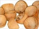  coconut   shell 