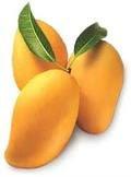 Mango high quality