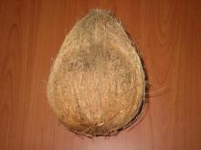  Fully   husked   coconut s