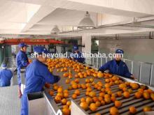 Citrus juice production line