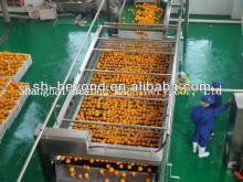 Complete Orange  Fruit   Juice   Processing   Line 