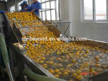 Fresh citrus juice production line