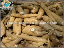 20 years experience/hotsales/iso certificate/labor saving cassava flour mill