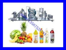 Fruit  Juice   Processing   Plant  (hot sale)