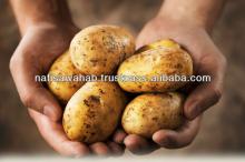 A Grade Potatoes for Europe Market
