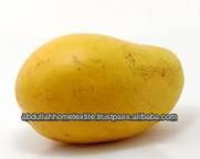 Mango Fruit