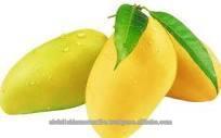 Fresh mangoes
