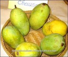 Fresh Chaunsa Mango Multan
