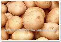 Fresh Potato