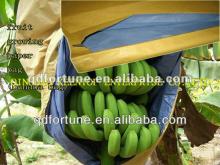 banana ripening paper bag