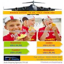 Mango-Freight Shipping cargo to Europe