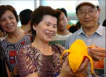  Mango - Best freight to Fareast