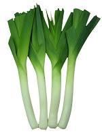 Japanese Bunching Onion