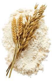 Bakery Flour raw