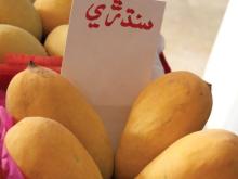 Mango exporters/suppliers/distributers from Pakistan,