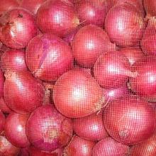 Fresh Egyptian red onion