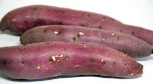 Fresh Egyptian sweet potato