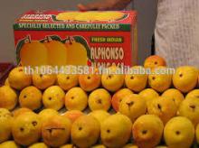High Quality Fresh Alphonso Mango