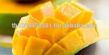 Fruit Mangoes/ Alphonso Mangoes/ Thai Origin
