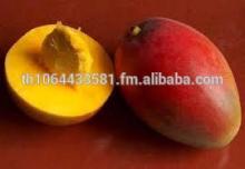 High Quality Fresh Fruits Alphonso Mangoes Avilable now in Bulk