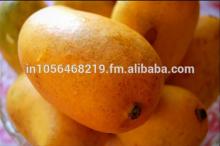 FRESH ALPHANSO MANGO