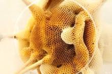 beeswax