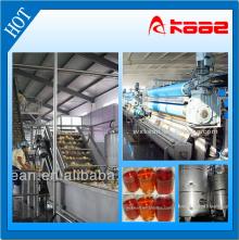 Industrial apple and pear juice production line
