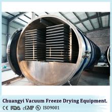 ZG-150m2 Food Vaccum Freeze Dryer machine for Sale (capacity:1500~1800kg)