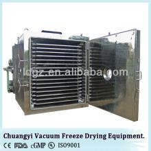 2013 Food processing machine Vaccum Freeze Drying equipment (China manufacturer, Hangzhou)