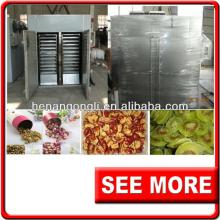 gas/diesel type industrial belt drying machine