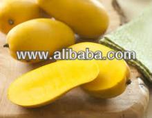 Qatar Mango