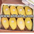 Fresh Mangoes