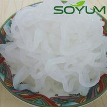 low carb and zero fat food konjac spaghetti pasta