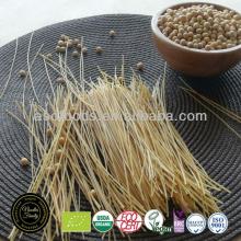 Organic Vegan Spaghetti (Linguine)